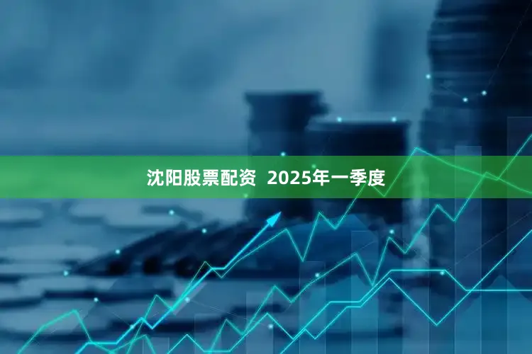 沈阳股票配资  2025年一季度